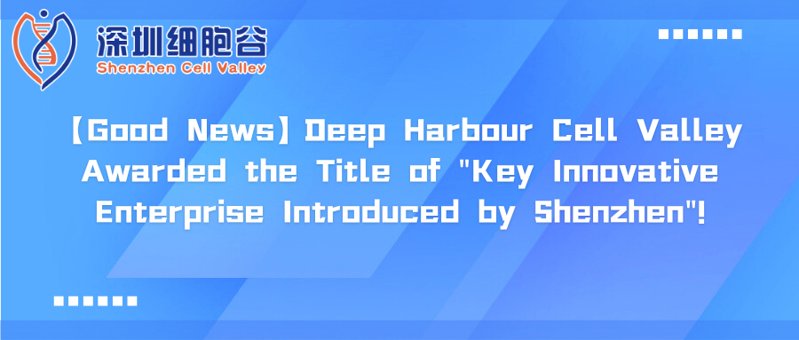 【Good News】Deep Harbour Cell Valley Awarded the Title of 