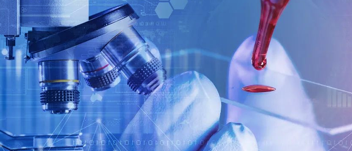 凯发K8国际网络+银丰生物集团 打造科研创新“加速度”